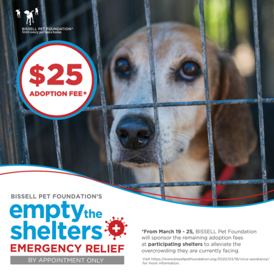 $25 Adoption Fee Plus a Free Microchip Extended Until April 8th!